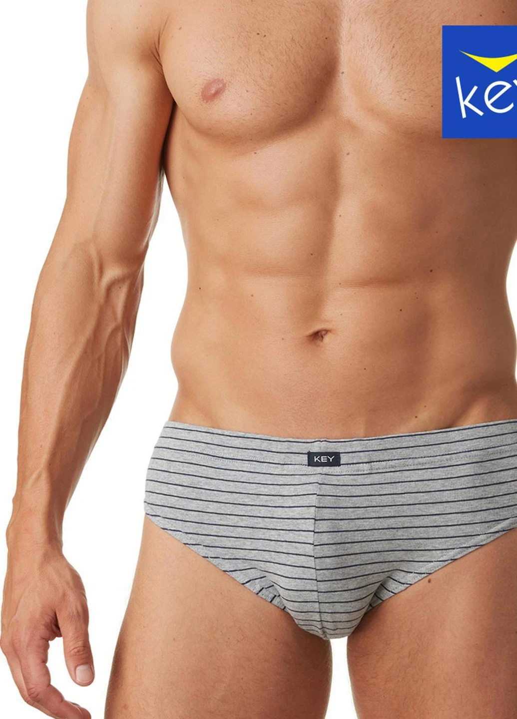 Труси чоловічі 4XL меланжевий MPP 378 A22 3-4XL Key (254321102)