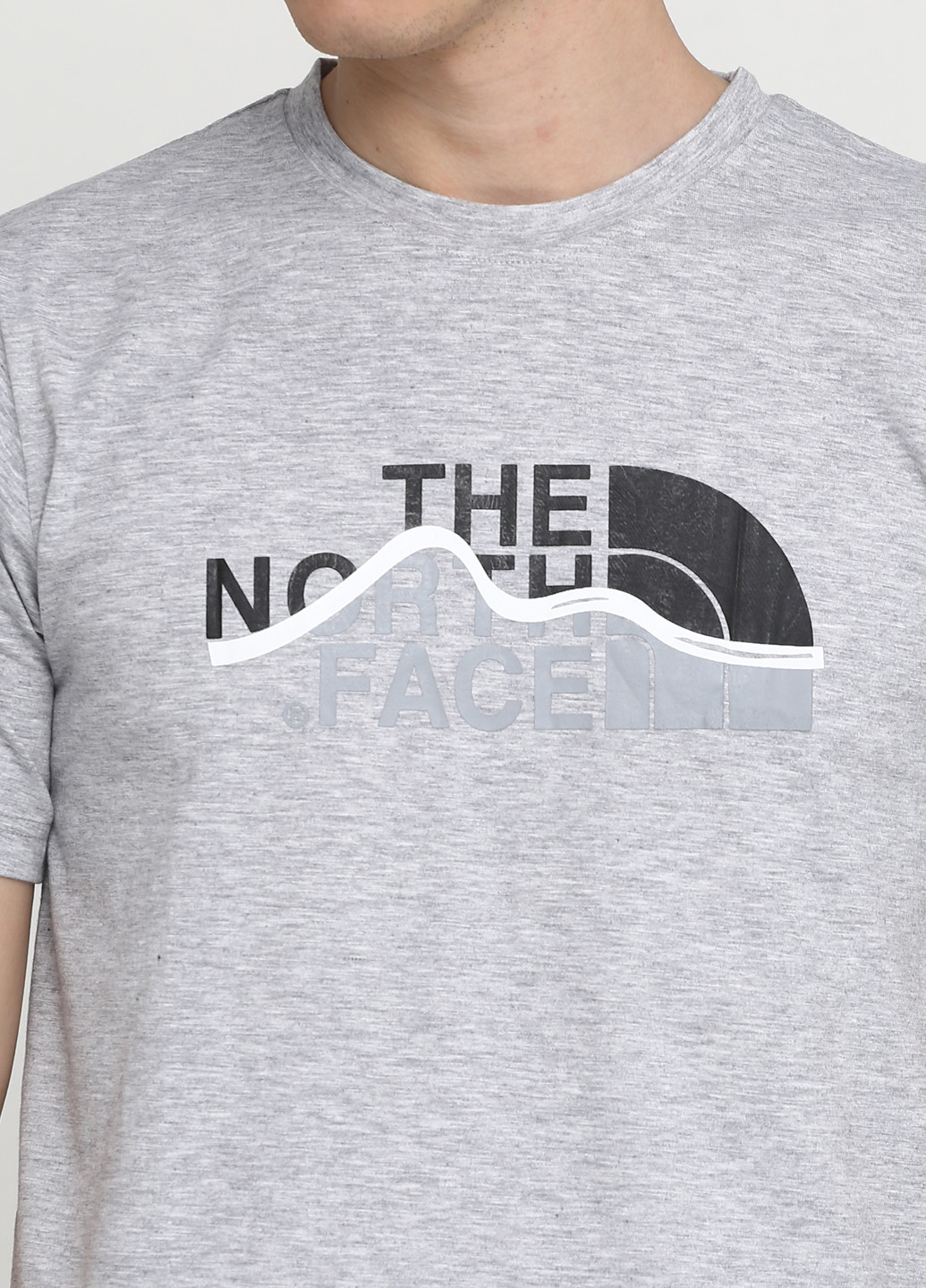 Светло-серая футболка The North Face
