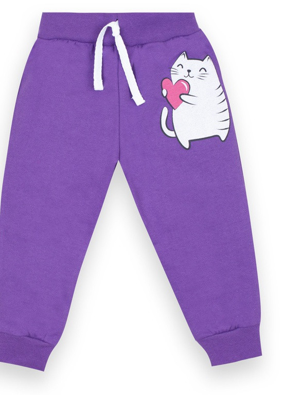 Фиолетовые спортивные демисезонные брюки Габби