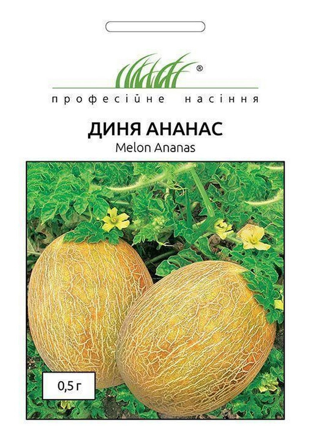 Насіння Диня Ананас 0,5 г Професійне насіння (216036255)