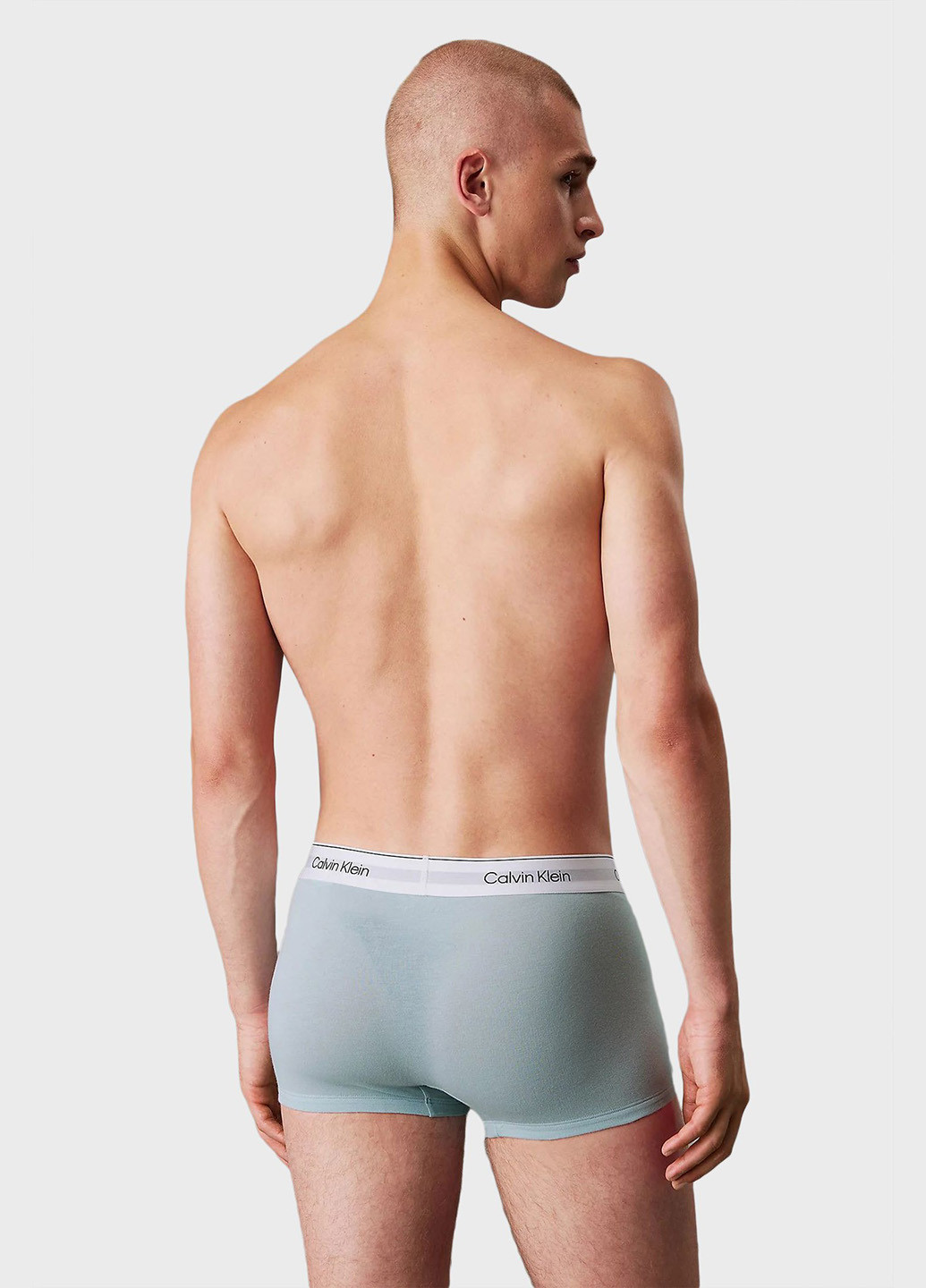 Трусы (3 шт.) Calvin Klein (366292628)