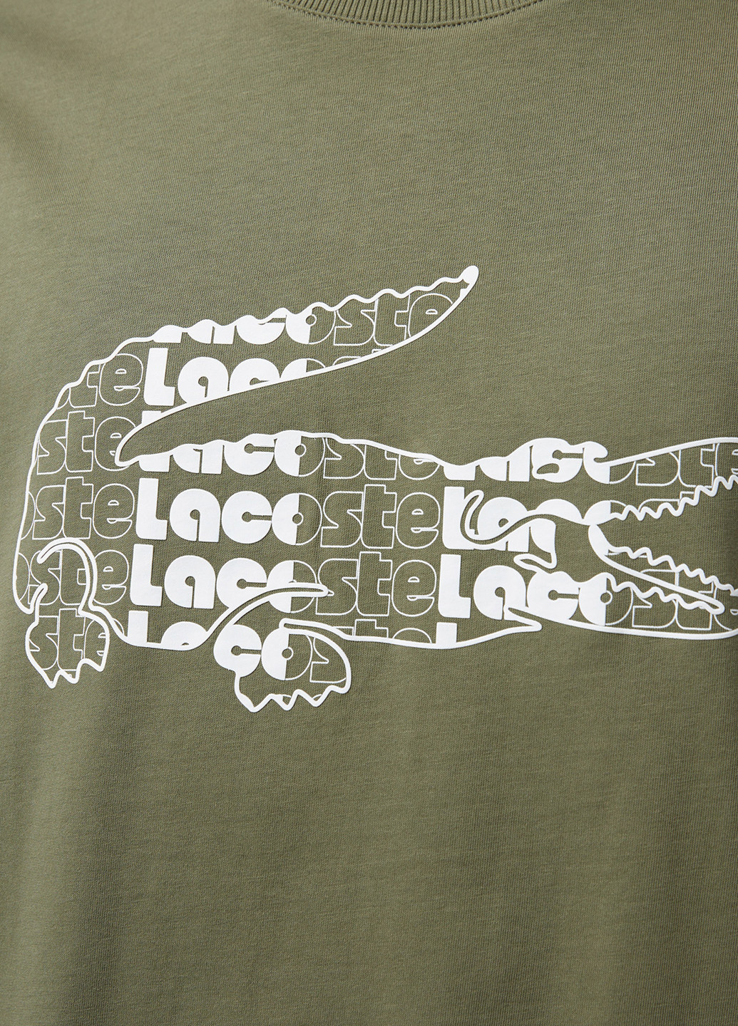 Футболка Lacoste (298072737)