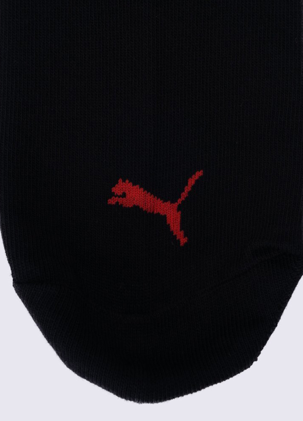 Шкарпетки (3 пари) Puma unisex sneaker plain 3p (184156970)