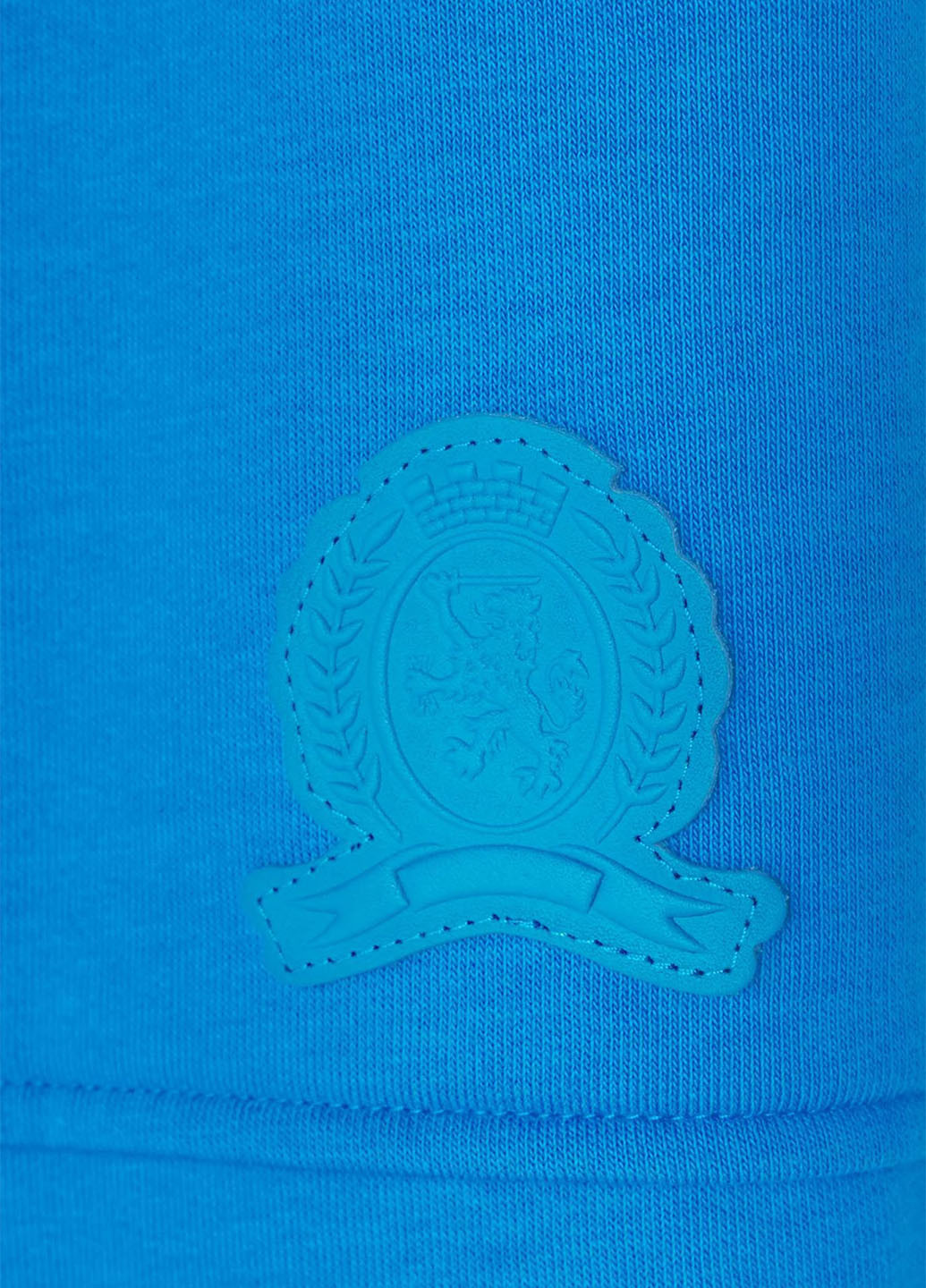 Голубые спортивные демисезонные джоггеры брюки Tommy Hilfiger