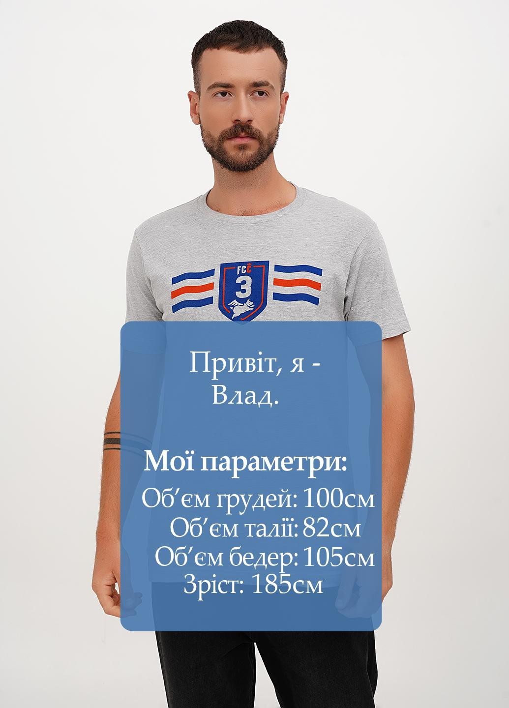 Серая футболка Tultex