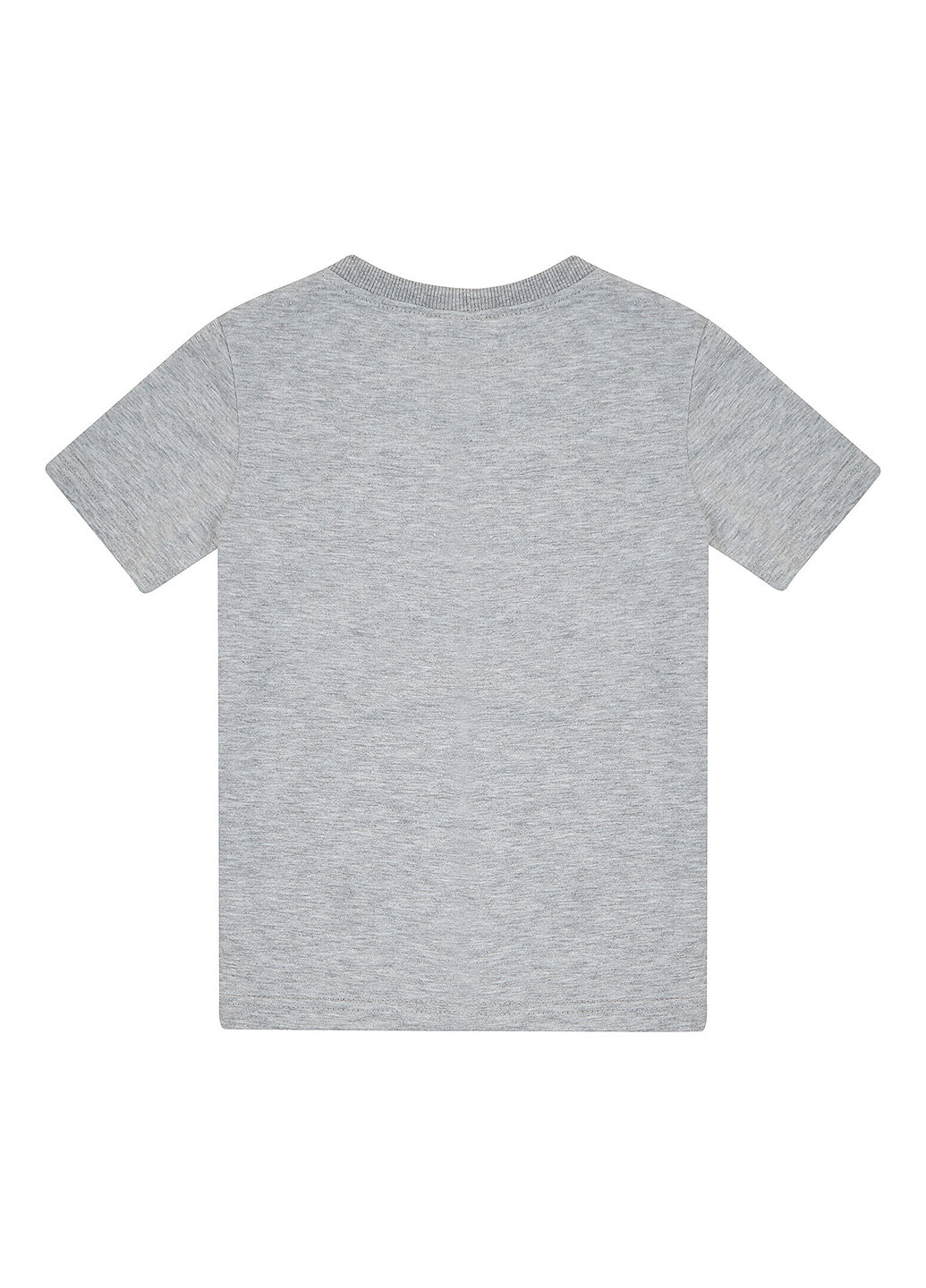 Сіра літня футболка Garnamama