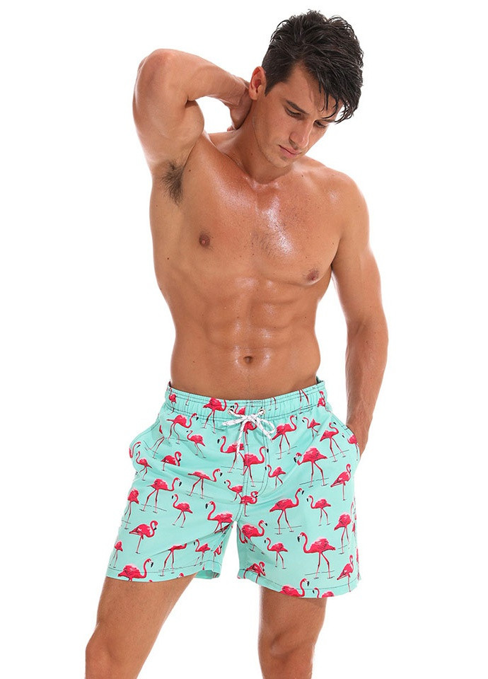 Мужские шорты с фламинго Escatch (250596558)