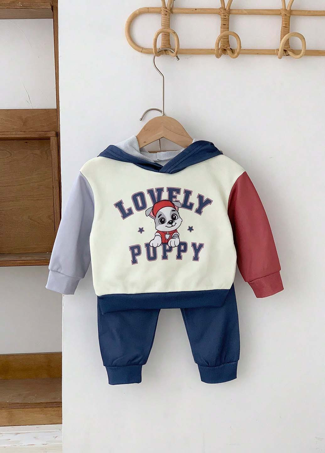 Костюм (худи, брюки) SHEIN (344466317)