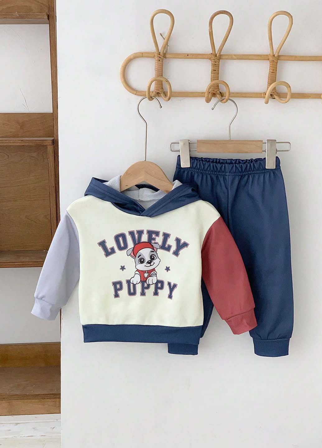 Костюм (худи, брюки) SHEIN (344466317)