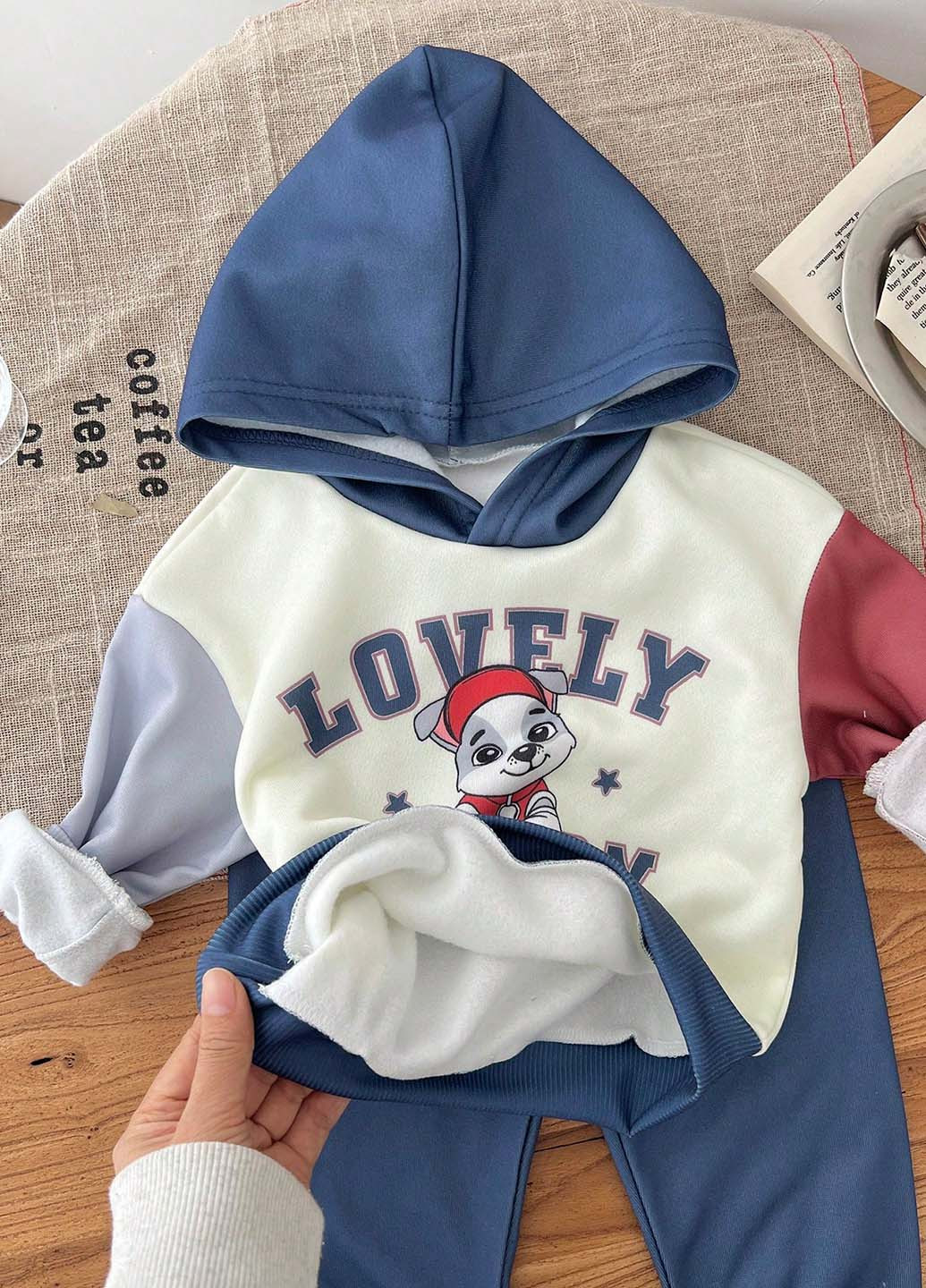 Костюм (худи, брюки) SHEIN (344466317)