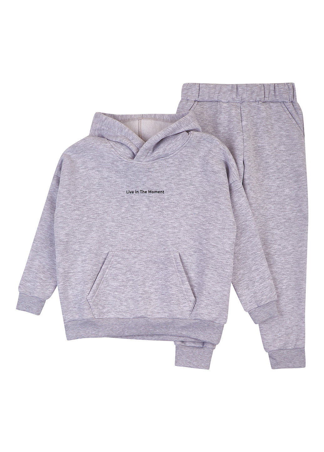 Спортивний костюм (худі, штани) Фламинго (314603322)