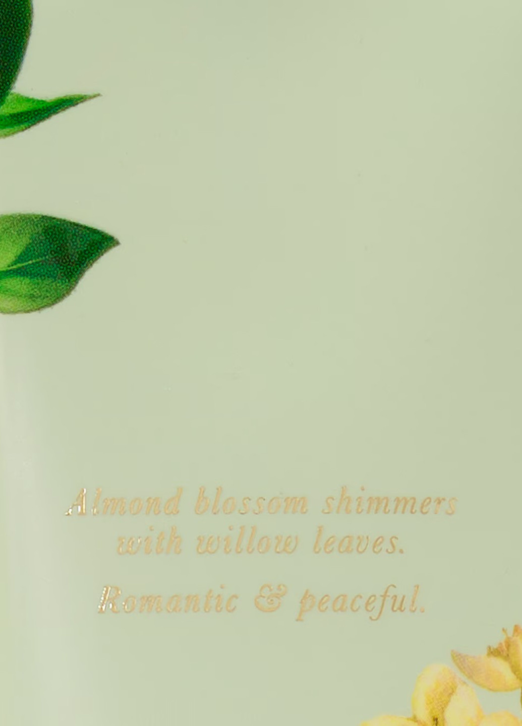 Набір Wild Willow (лосьон, міст) Victoria's Secret (324218429)