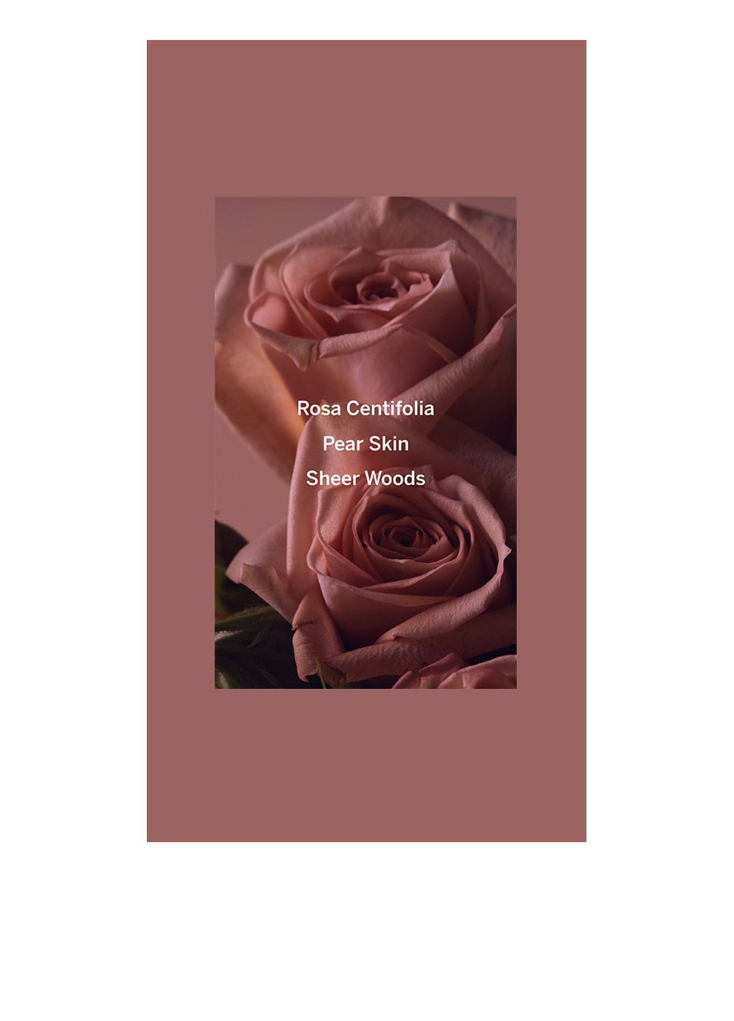 Парфумована вода Bare Rose Travel Spray, 7 мл Victoria's Secret (343051788)