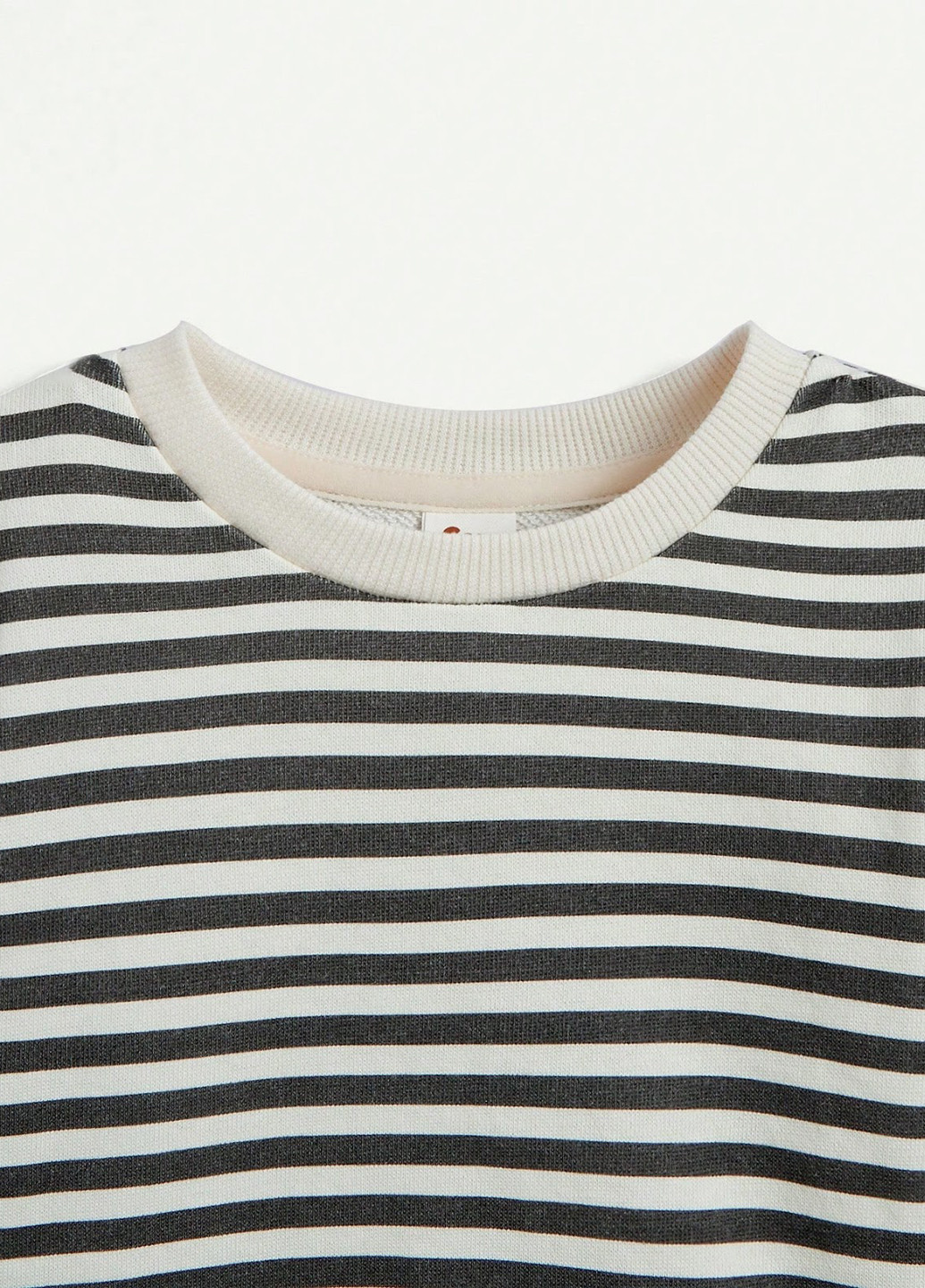 Комбінований демісезонний костюм (світшот, комбінезон) SHEIN