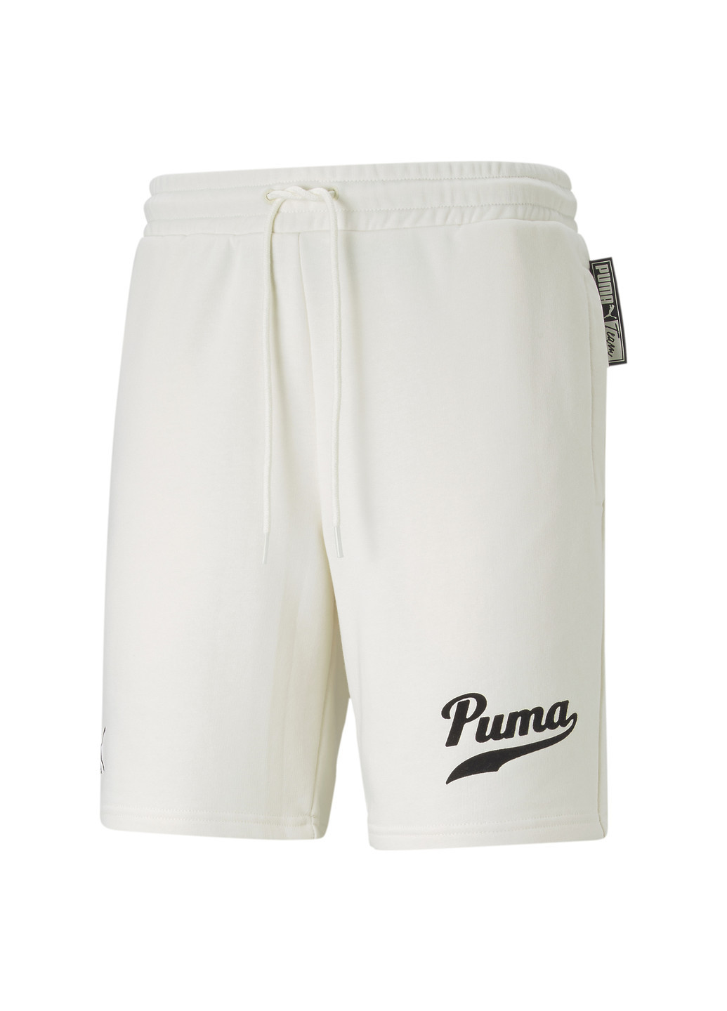 Шорты Team 8" TR Men's Shorts Puma (256535488)