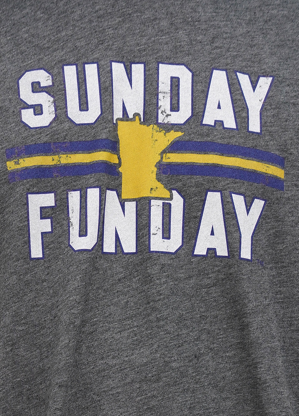 Сіра футболка My State Threads