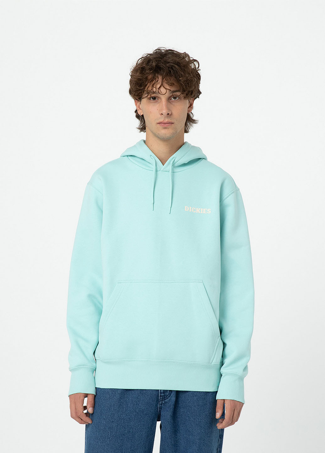 Худі Dickies (329047532)
