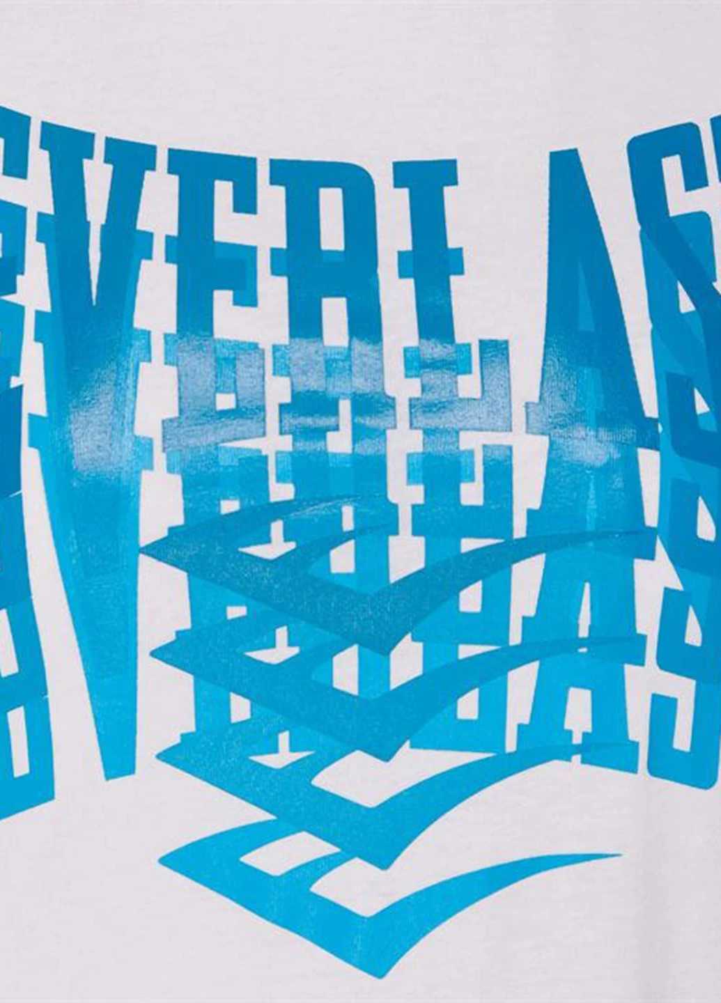 Футболка Everlast - (229970445)