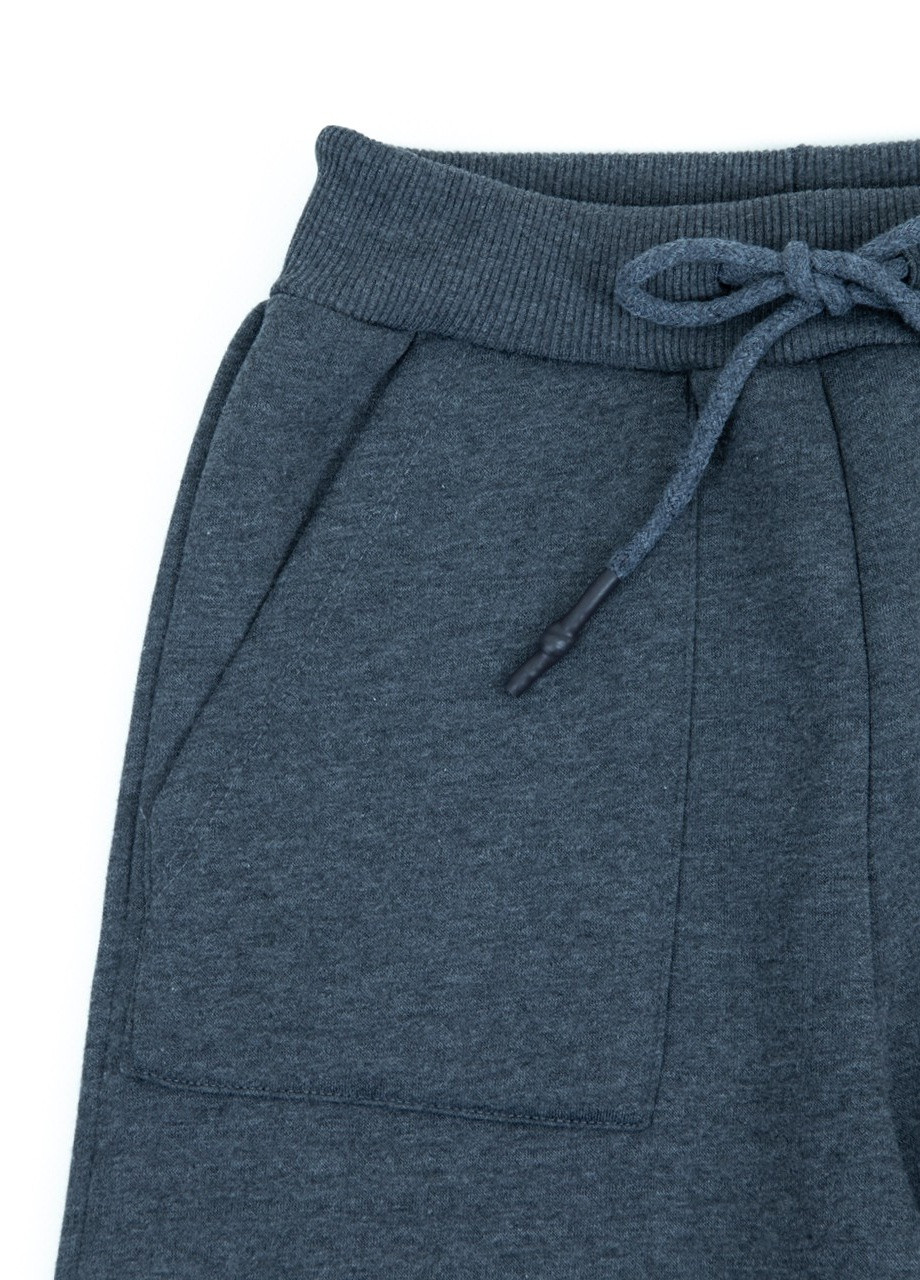 Спортивні штани жіночі сірі на флісі X-trap (251852003)