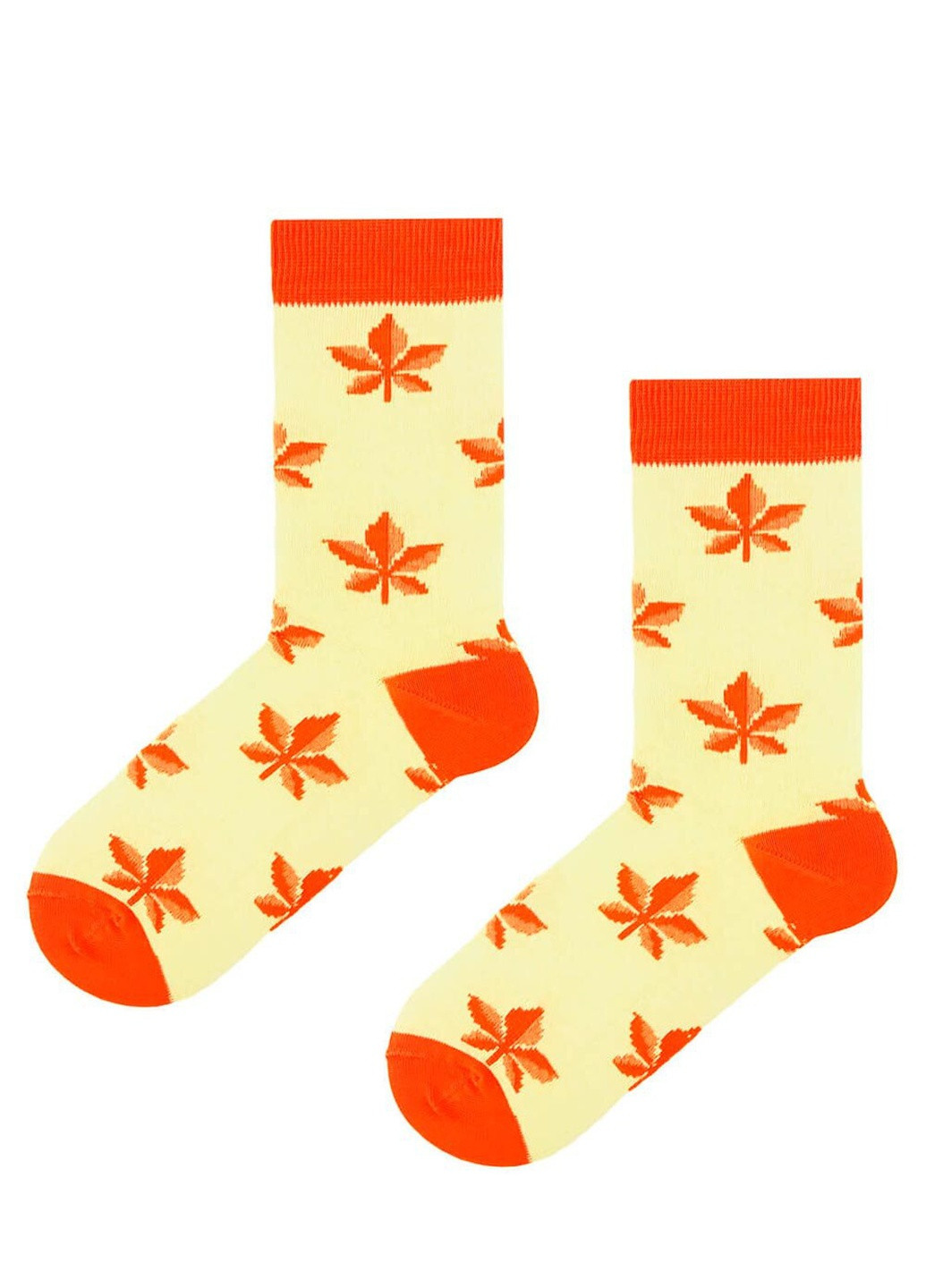 Шкарпетки Autumn SOX (224809089)