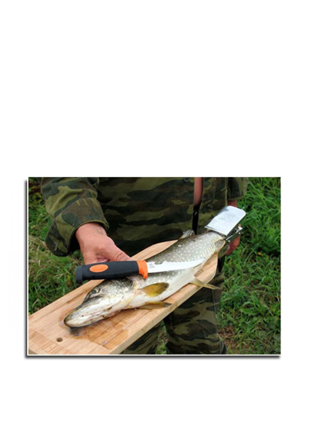 Разделочная доска для рыбы (с зажимом), 60х14х1,5 см Forus (25731925)