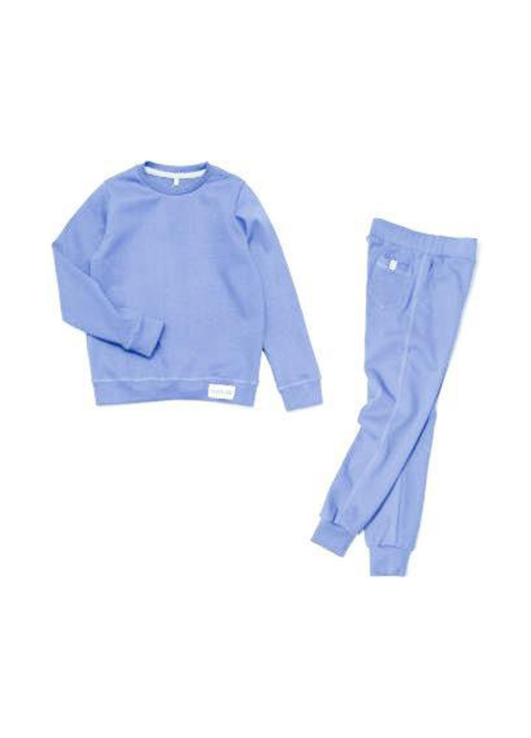 Світло-блакитний демісезонний костюм (світшот, штани) брючний ArDoMi