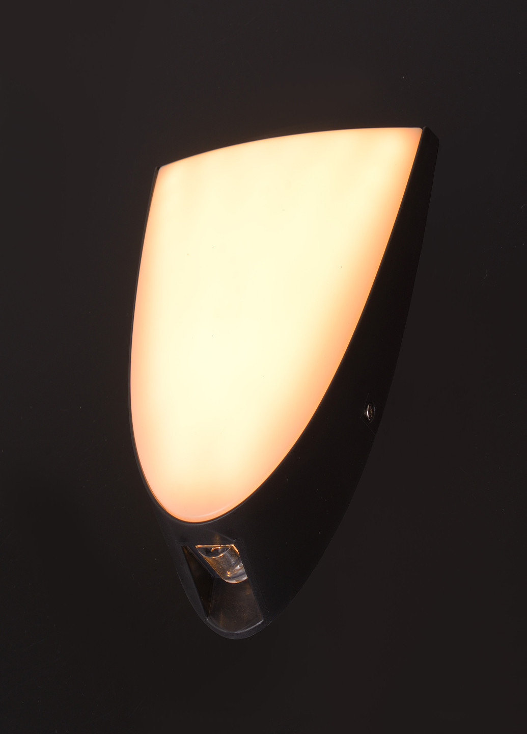 AL-610/18W NW LED IP65 BK подсветка Brille (251904504)