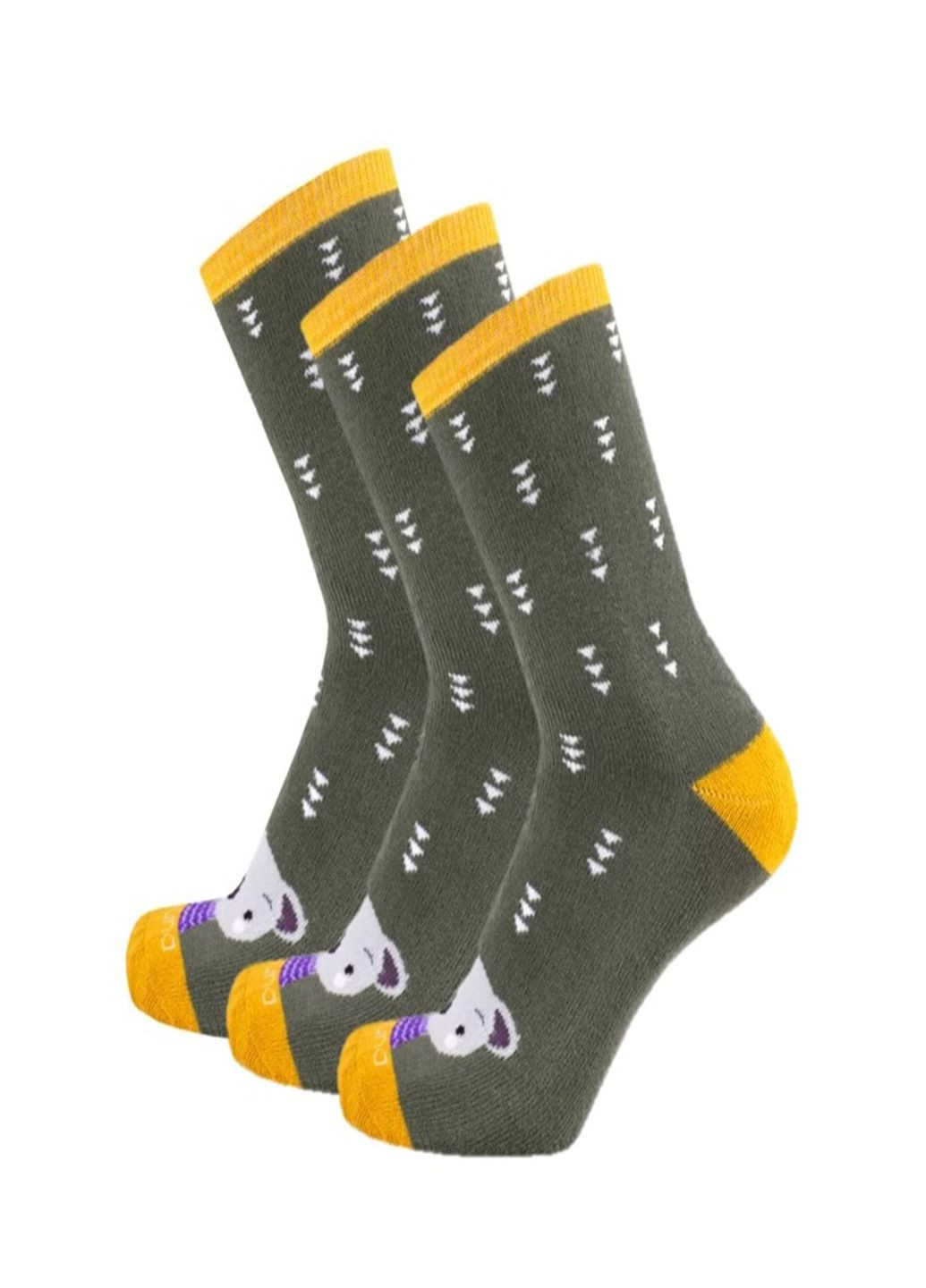 Набор (3 шт) детских носочков Duna 4038 (252871669)