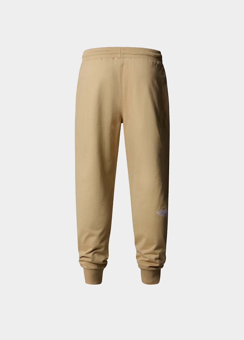 Бежевые спортивные демисезонные джоггеры брюки The North Face