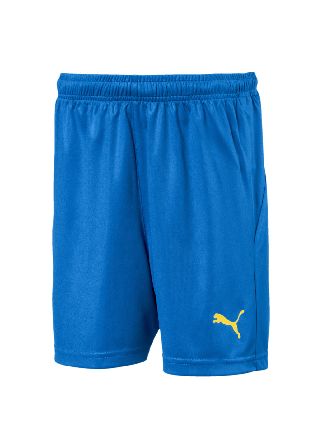 Шорты LIGA Kids’ Football Shorts Puma однотонные синие спортивные полиэстер