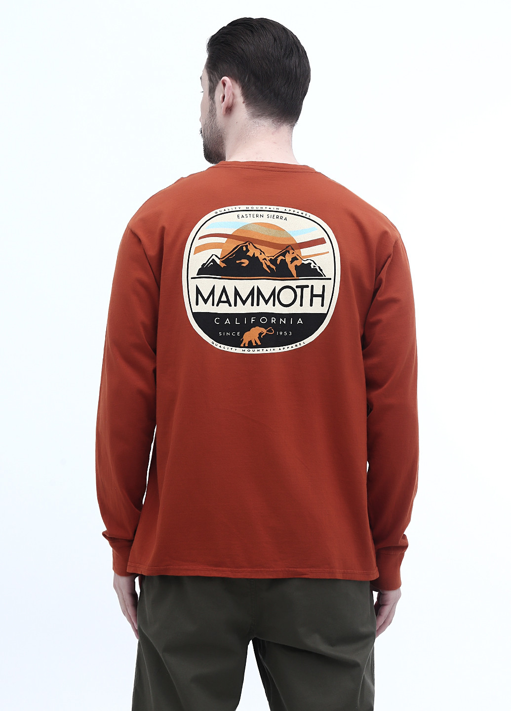 Терракотовый демисезонный кэжуал лонгслив Blue 84 с рисунком