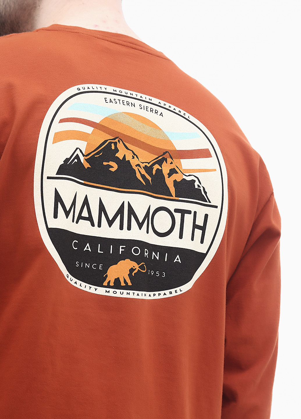 Терракотовый демисезонный кэжуал лонгслив Blue 84 с рисунком