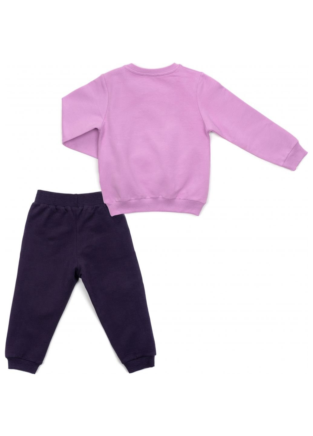 Фиолетовый демисезонный набор детской одежды с мишками (16102-104g-purple) Breeze
