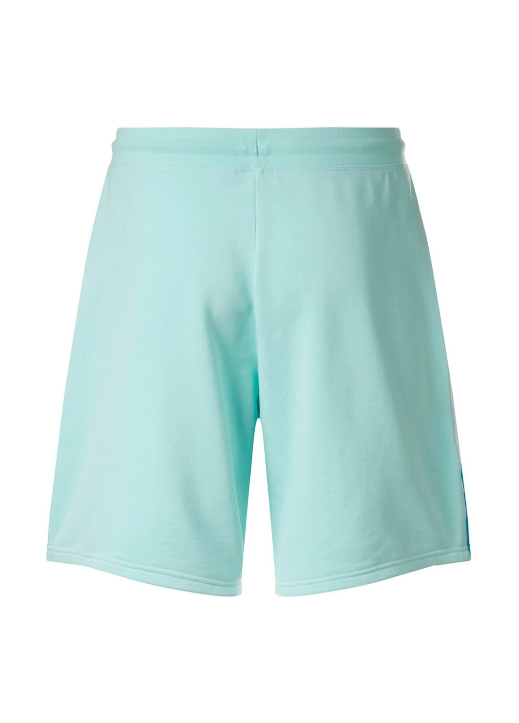 Шорти Mistral (354594271)