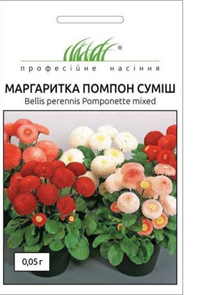 Насіння Маргаритка Помпон суміш 0,05 г Професійне насіння (252052830)