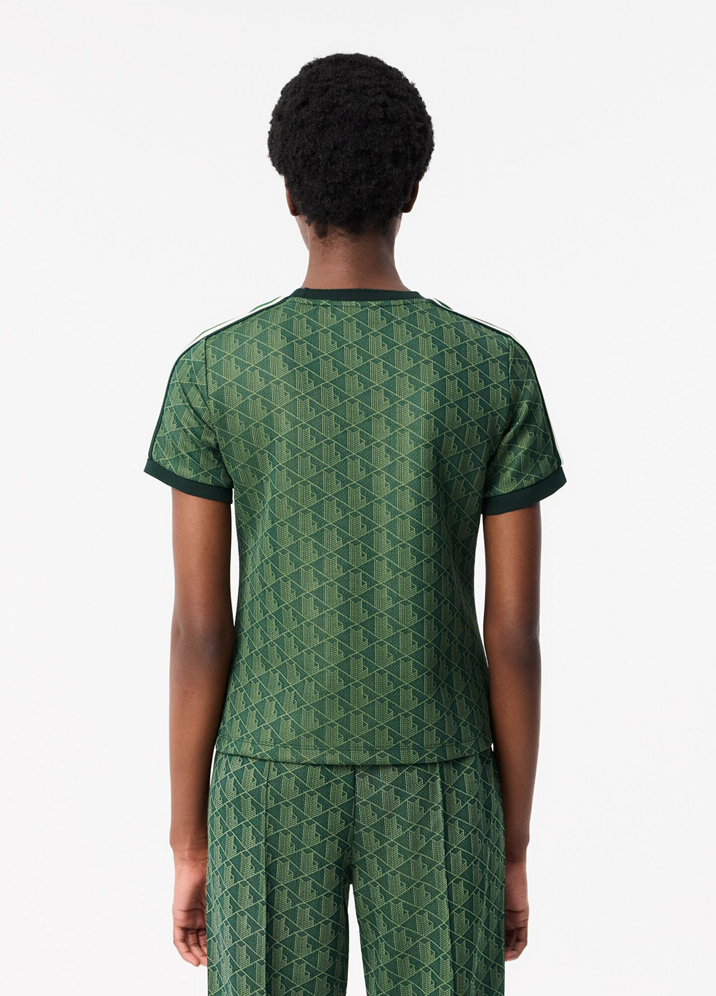 Футболка Lacoste - (329694508)