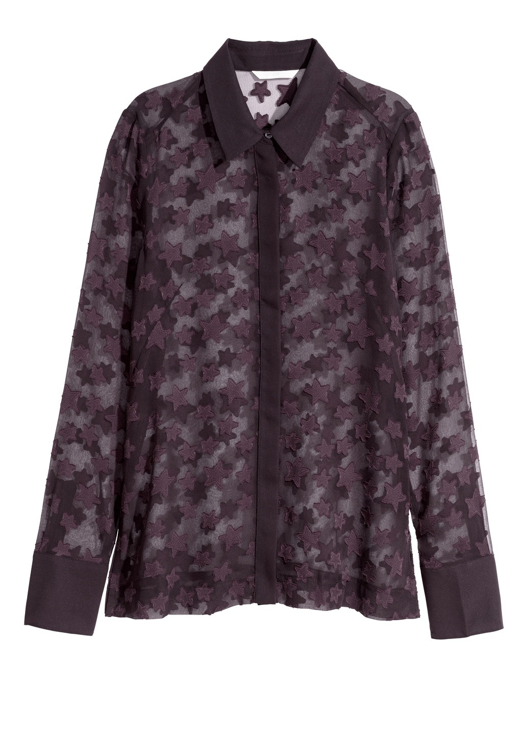 Темно-фиолетовая демисезонная блуза демисезон H&M