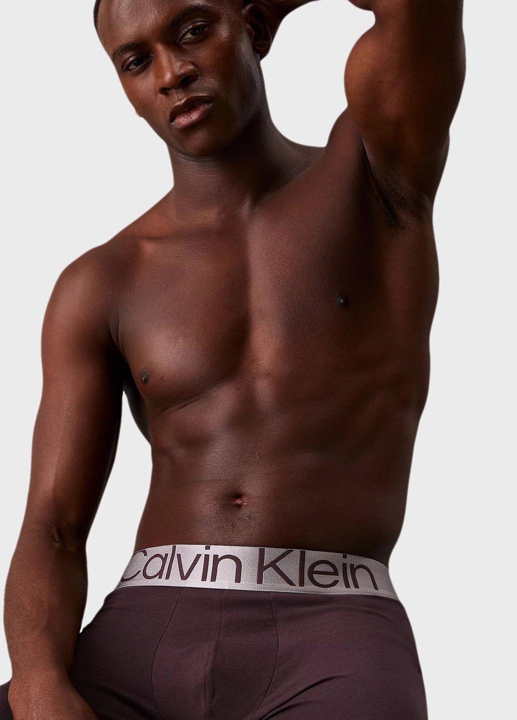 Труси (3 шт.) Calvin Klein (343745322)