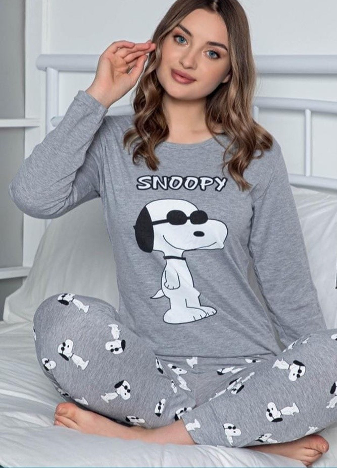 Серая всесезон комплект (свитшот, брюки) Sude