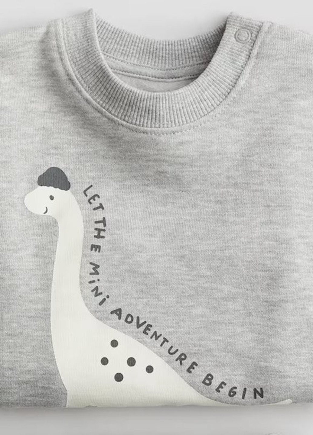 Світло-сірий світшот H&M динозавр без декору (341677545)