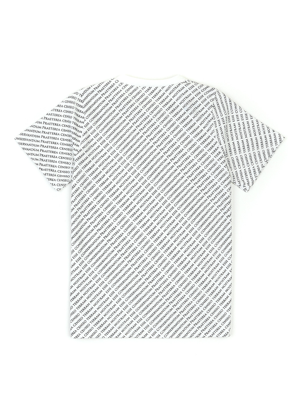 Белая летняя футболка ArDoMi