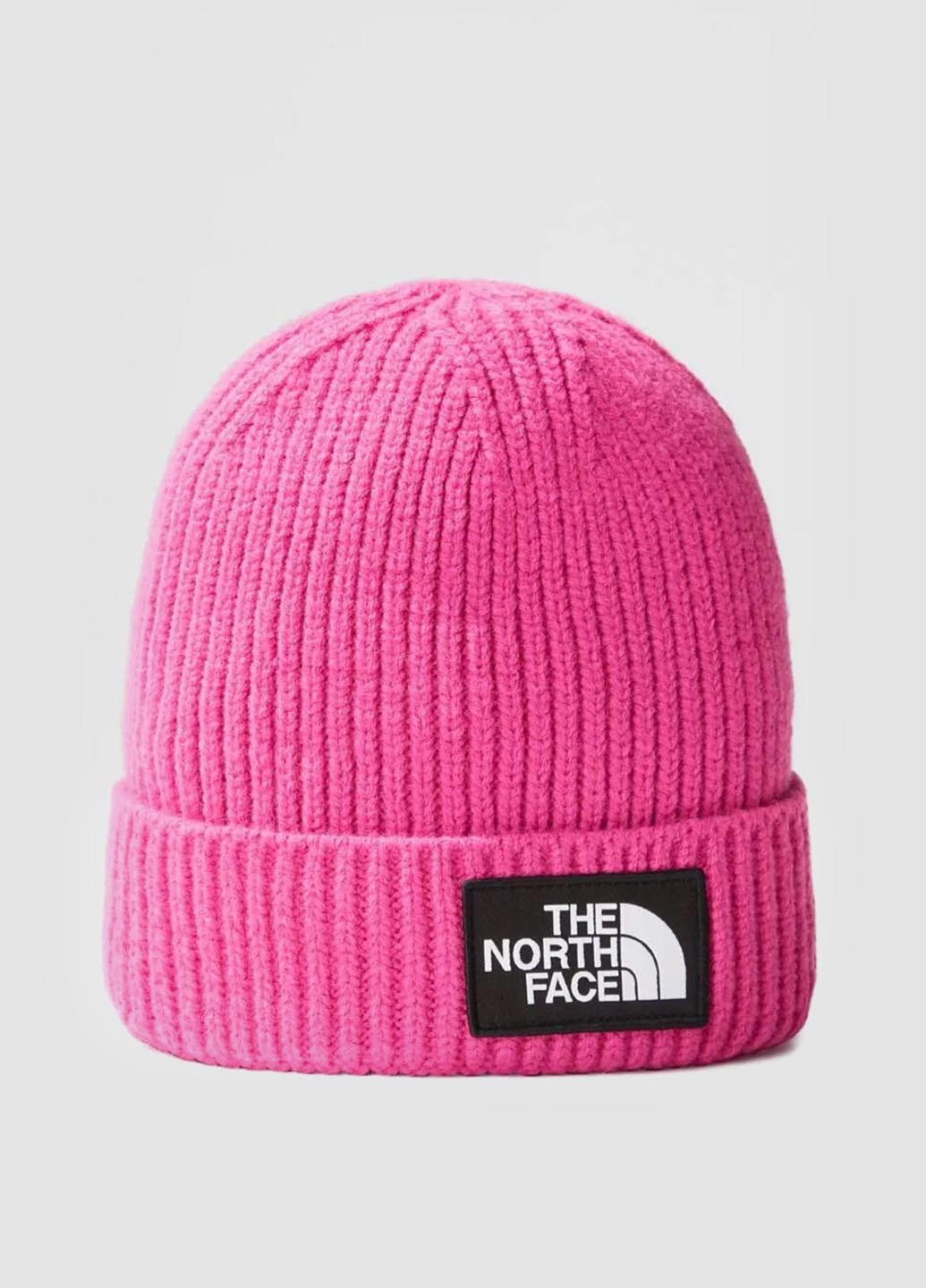 Шапка The North Face NF0A7WGCWUG1 (327373663)