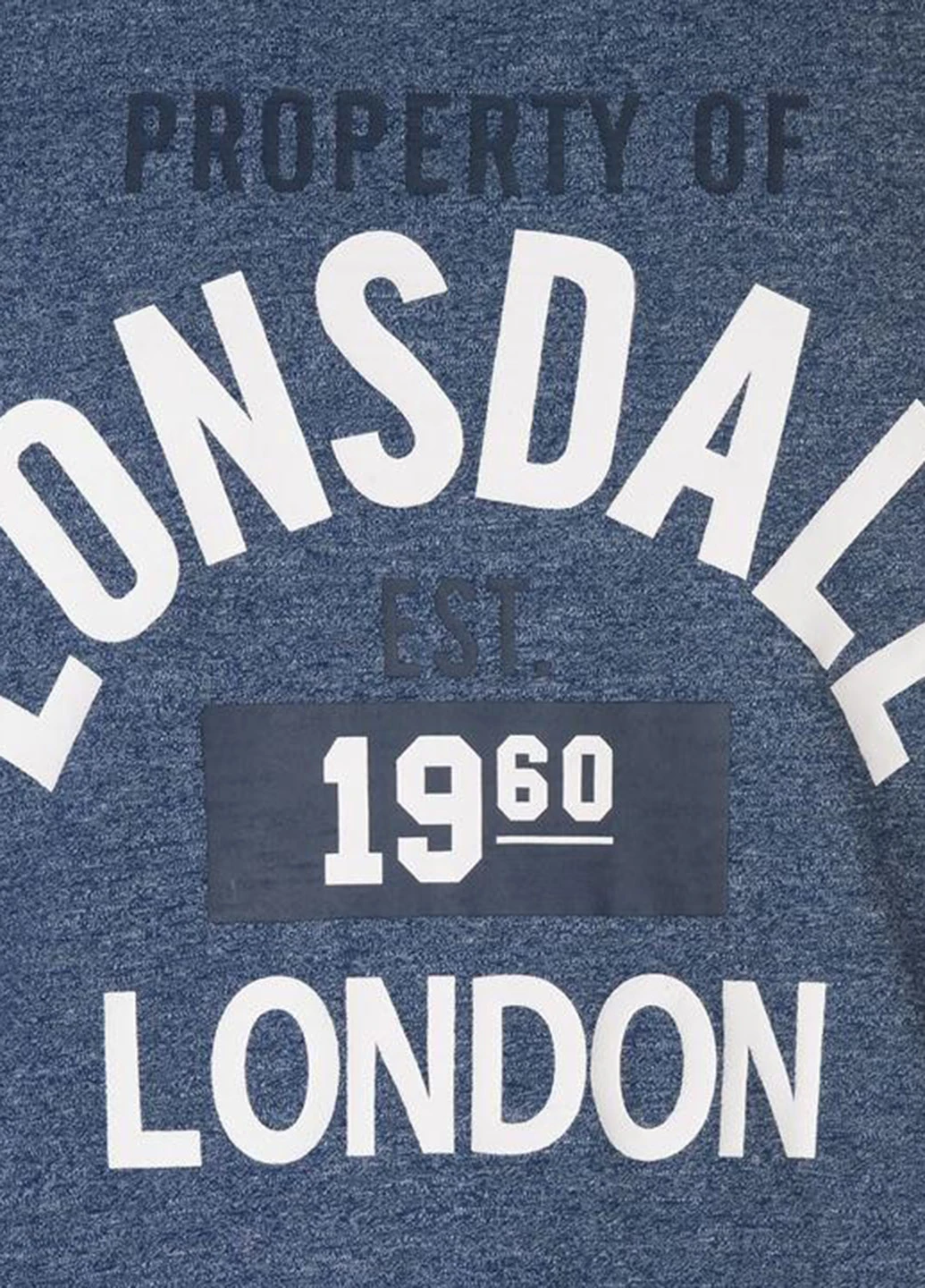 Сіро-синя футболка Lonsdale