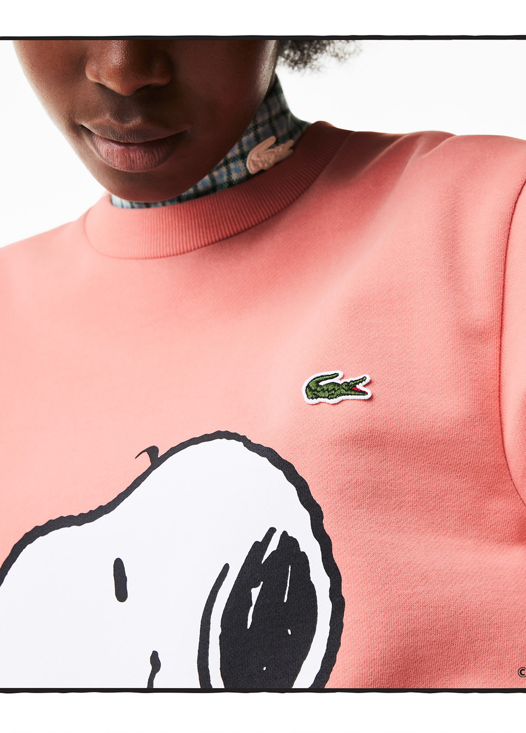 Свитшот Lacoste (265091278)