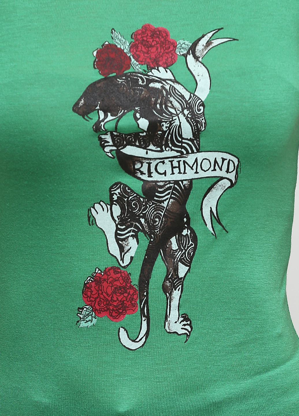 Зеленая летняя футболка Richmond