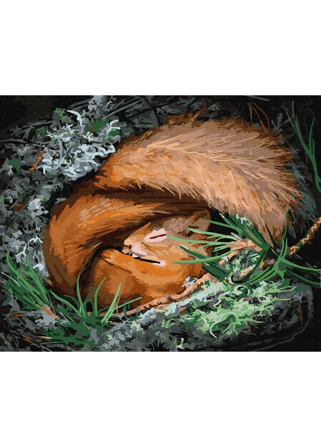 Картина за номерами "Солодкий сон білочки" 40х50 см Brushme (216134959)
