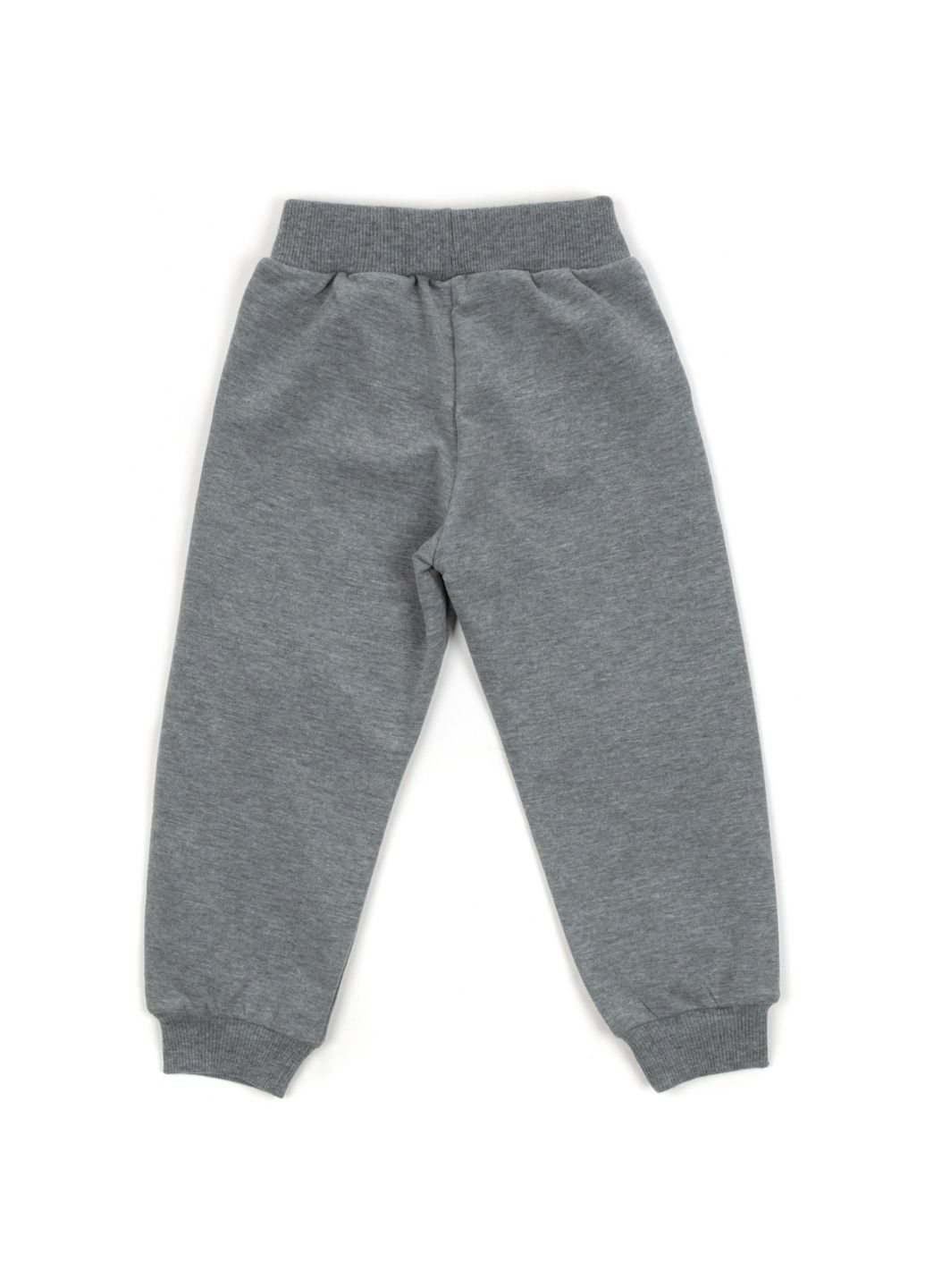 Сірий демісезонний спортивний костюм з котиками (15229-86g-pink) Breeze