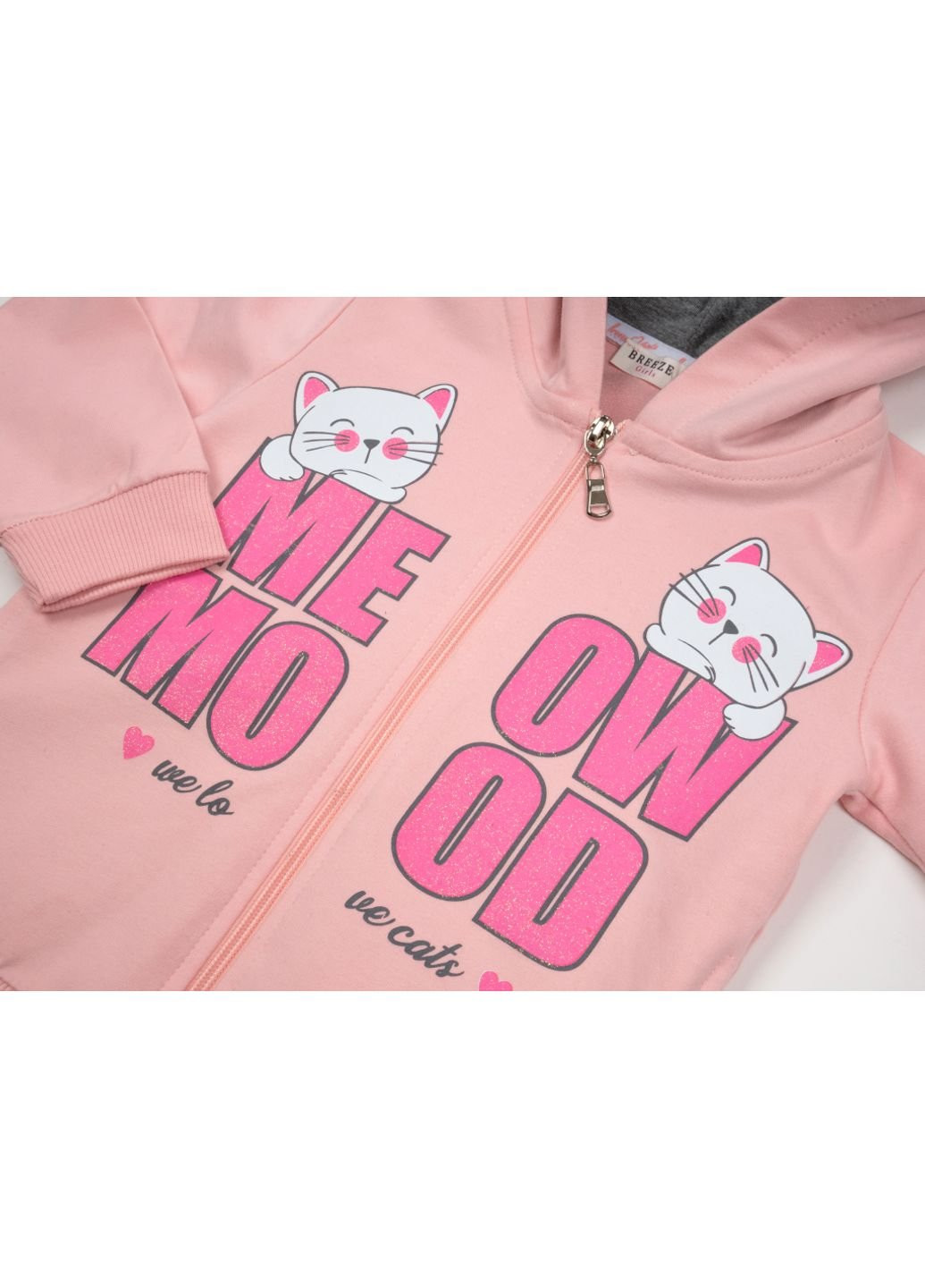 Сірий демісезонний спортивний костюм з котиками (15229-86g-pink) Breeze