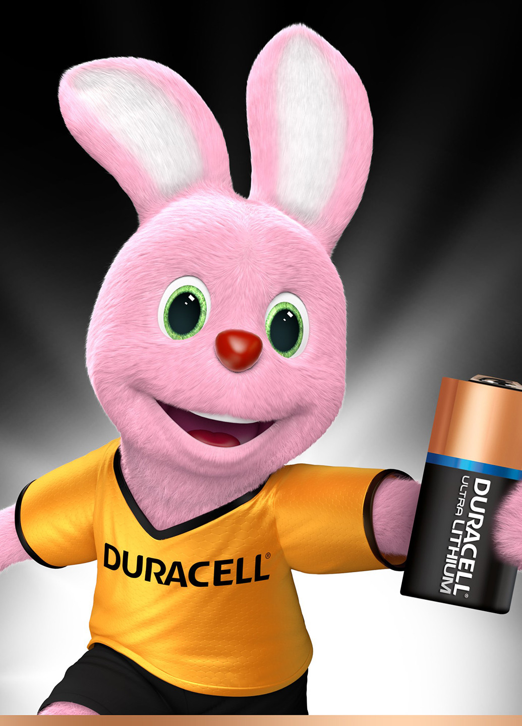 Фотобатарея Ultra 123, 2 шт Duracell (52586329)