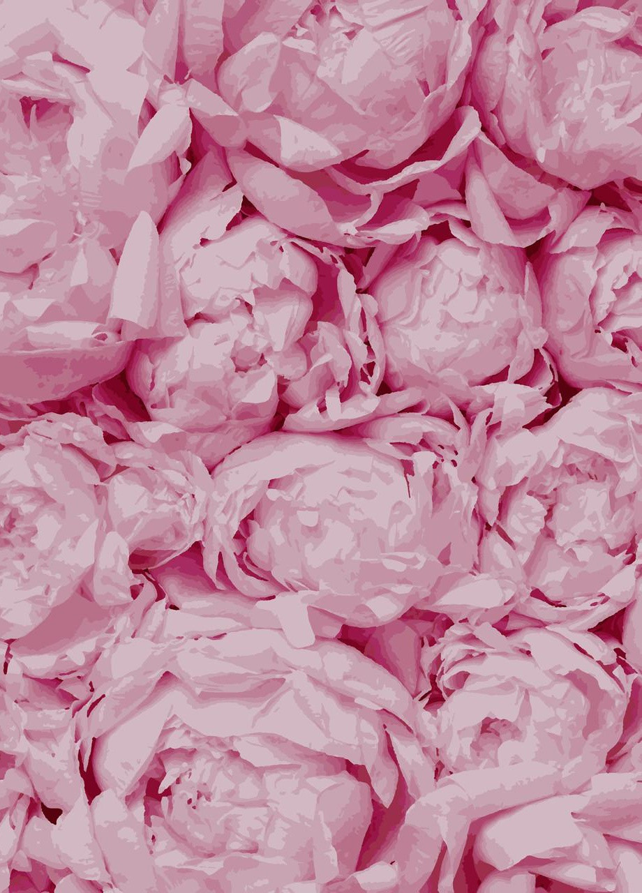 Картин по номерам "Нежность" 40*50 см No Brand (254584109)